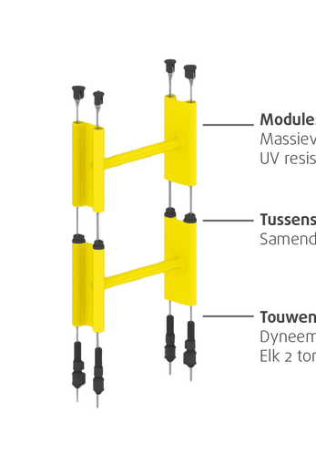 Life Ladder modules jpg