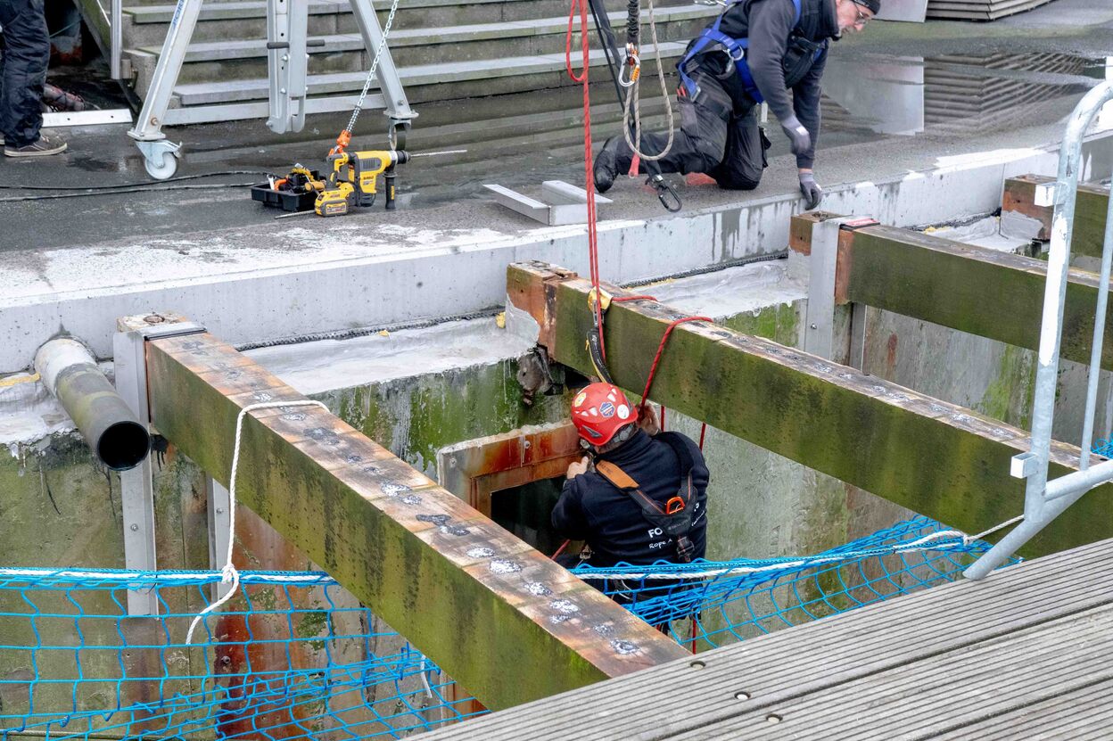 Pier Blankenberge 9 12 2025 LR 26